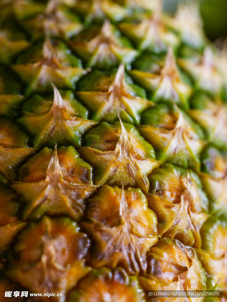 菠萝特写