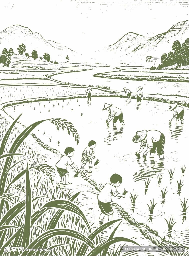 手绘插秧