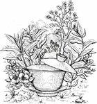 手绘茶碗