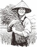 手绘丰收