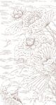 手绘荷叶插画