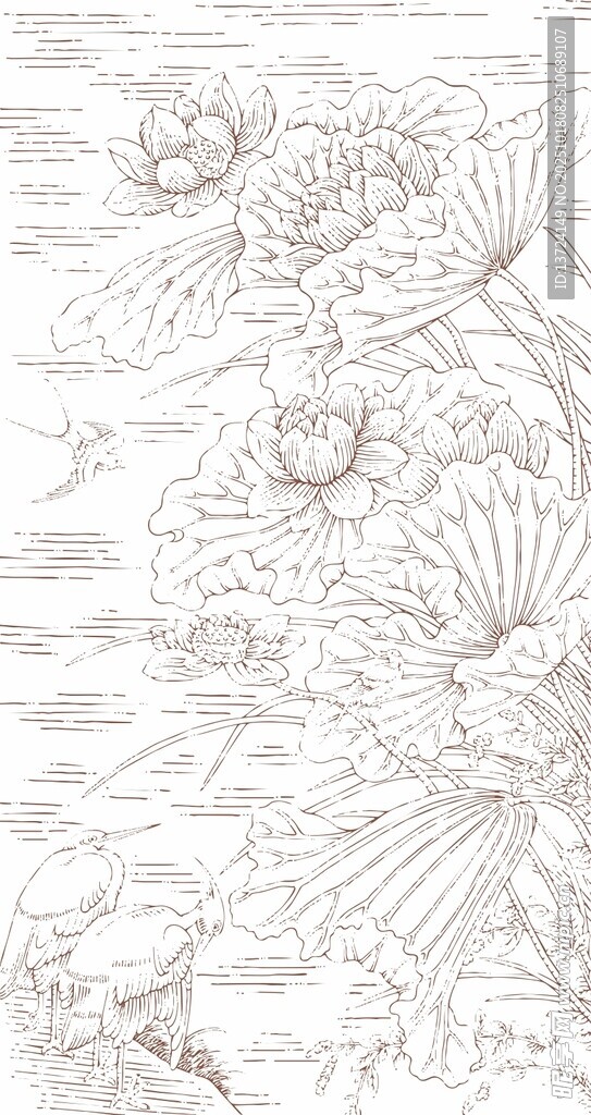 手绘荷叶插画