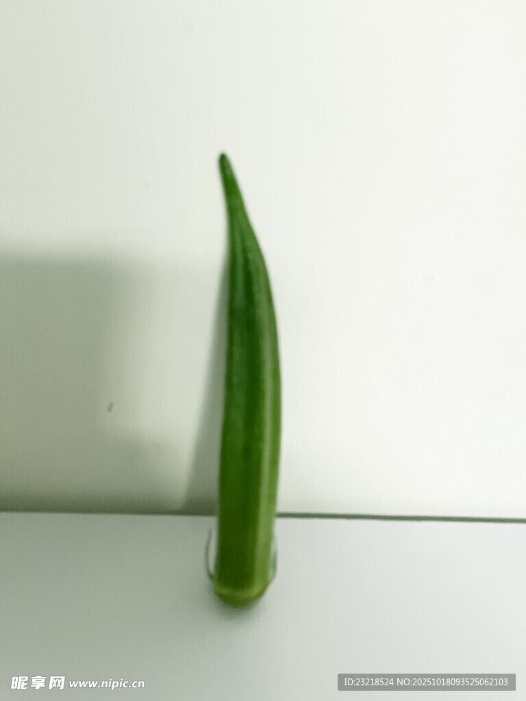 秋葵