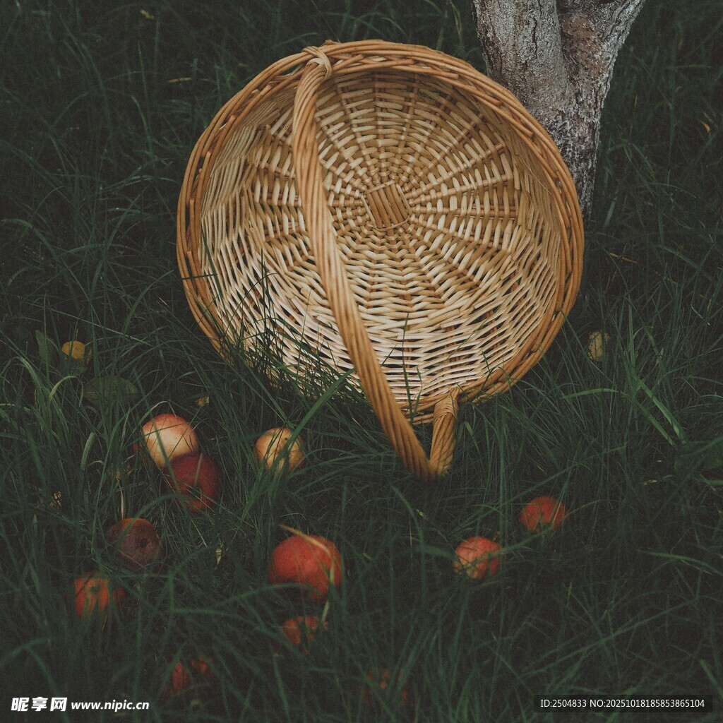 草地上的竹篮与散落苹果