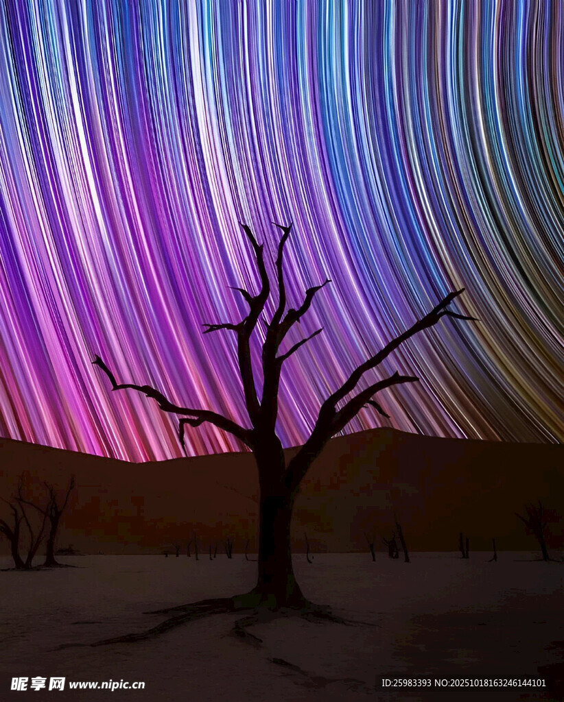 星空枯树