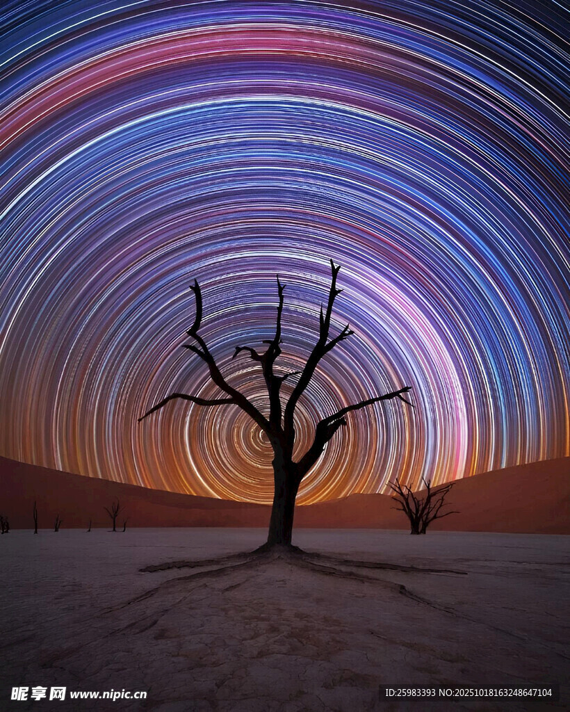 星空枯树