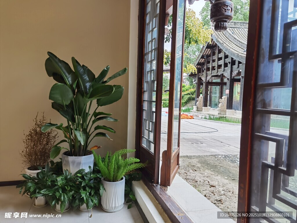 中式庭院门口绿植景致
