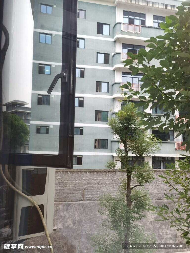 窗外楼景与绿植