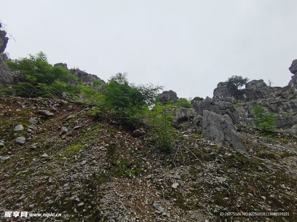 山间岩石与植被景观