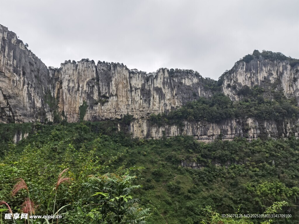 壮丽山峦与葱郁植被