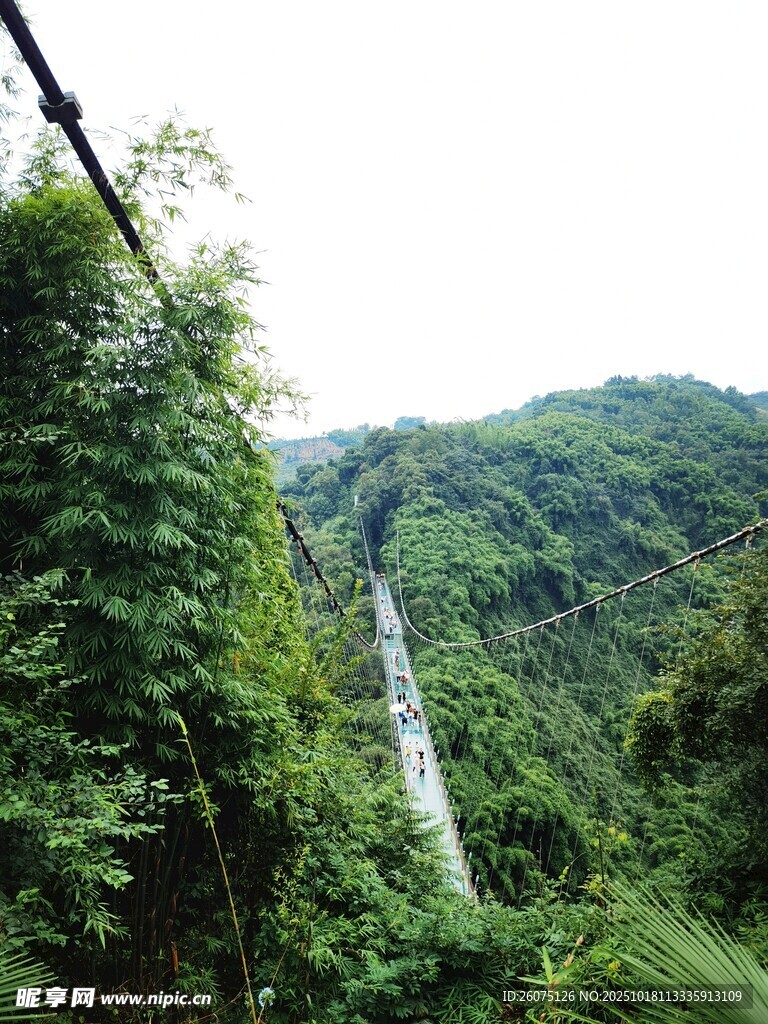 山间索道穿行于葱郁山林