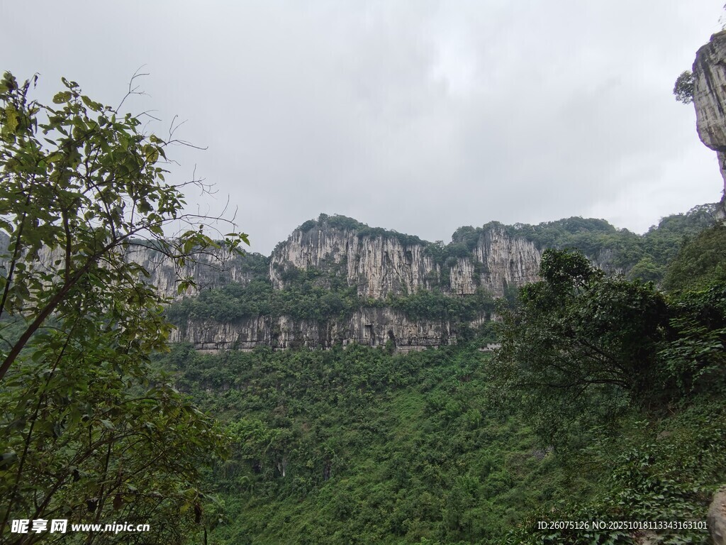 山峦叠翠间的绿意景致