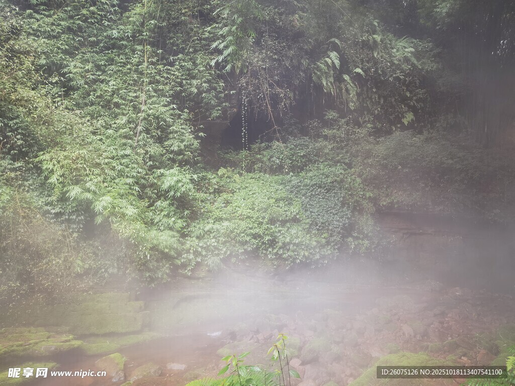 山间迷雾缭绕的绿意景致
