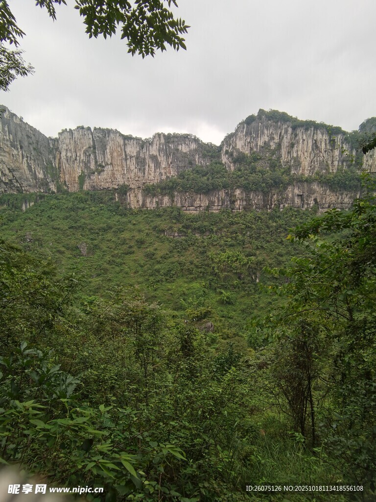山峦叠翠间的葱郁森林