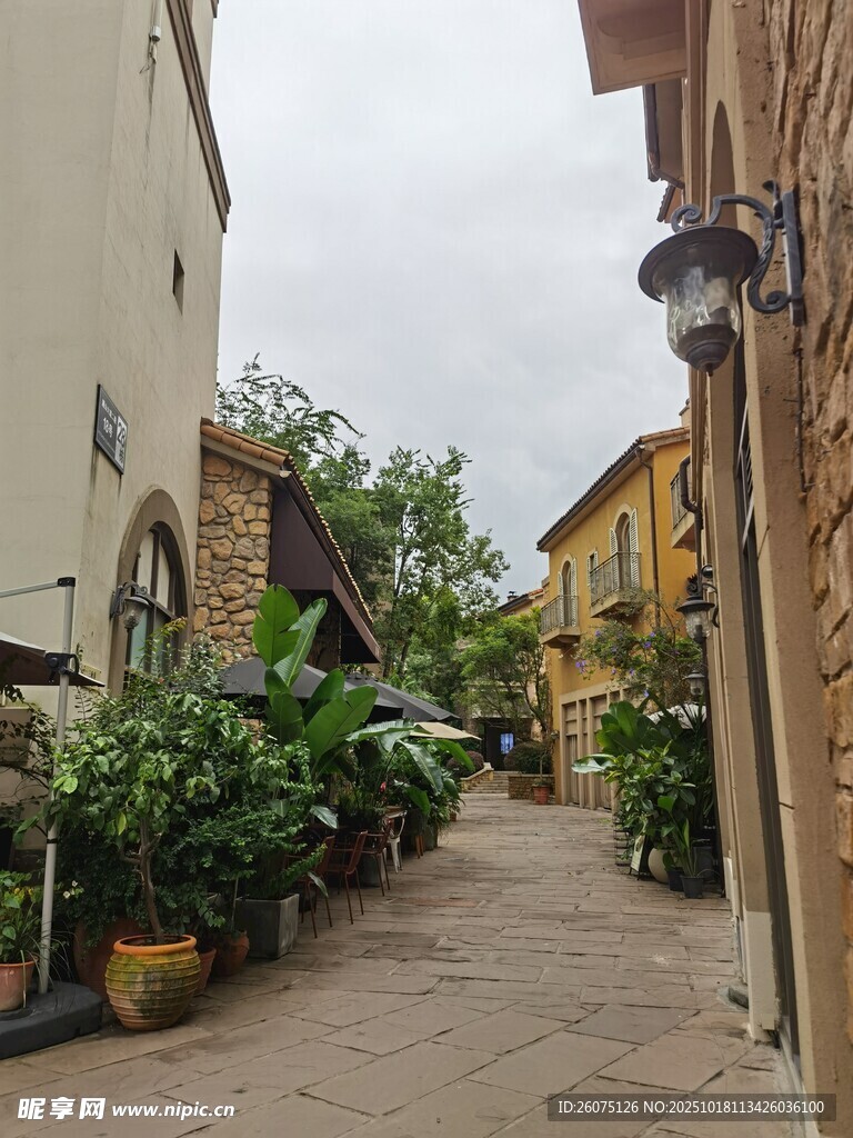 宁静小巷绿植环绕景致