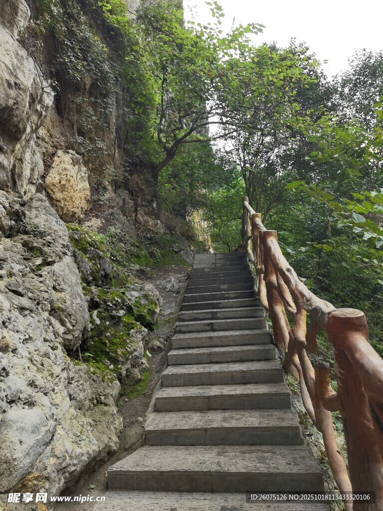 山间石阶通往自然之境