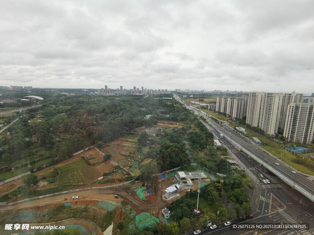 城市景观中的道路与绿地