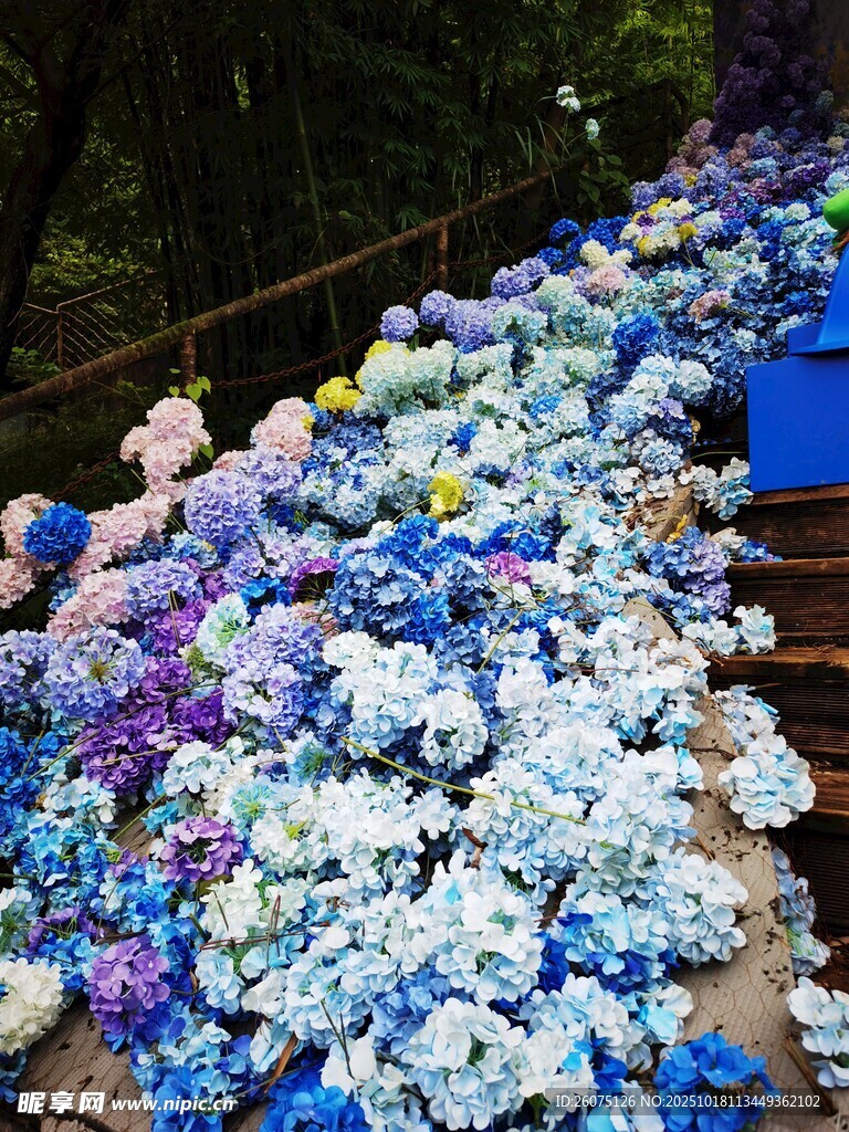 多彩仿真绣球花装点台阶