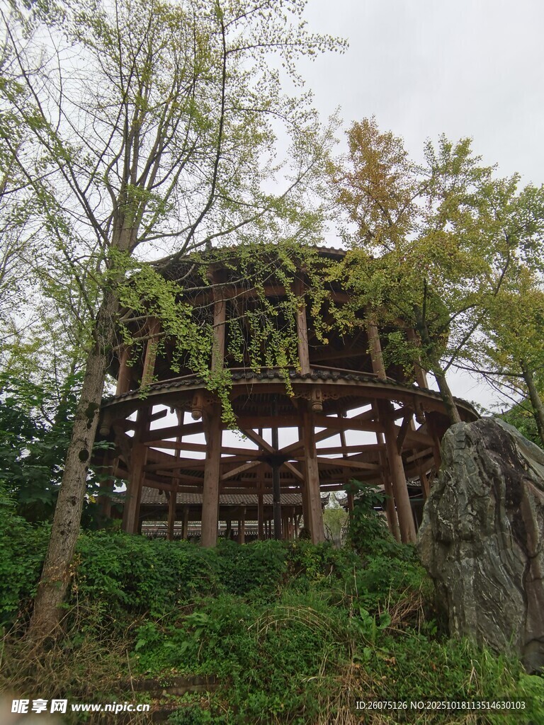 山林中的木质建筑景观