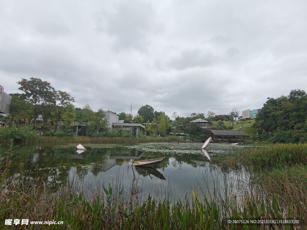 湖畔风景静谧小船与绿树