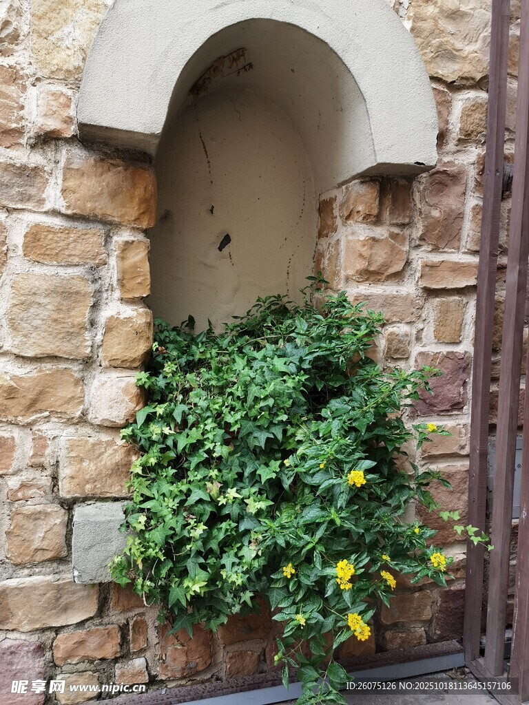 石墙绿植装饰小景