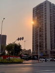 遂溪大道夕阳下的城市高楼街景