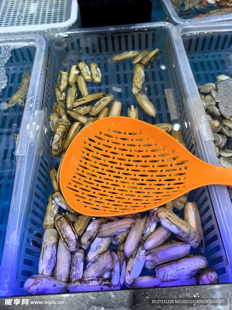鱼市场景中的捞鱼工具与鱼