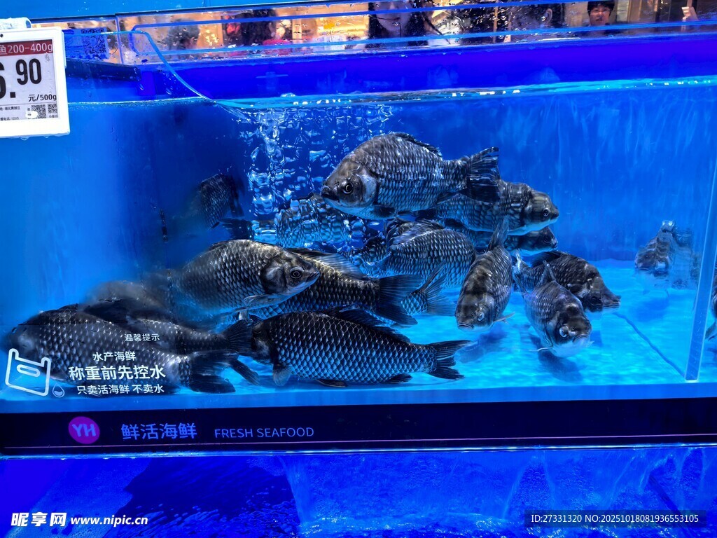 海底壮观景象展示