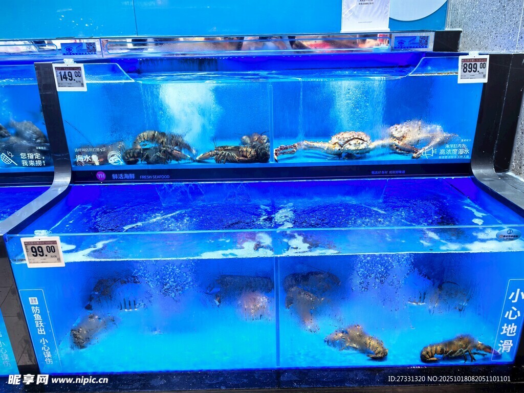 多层蓝色水族箱展示多样生物