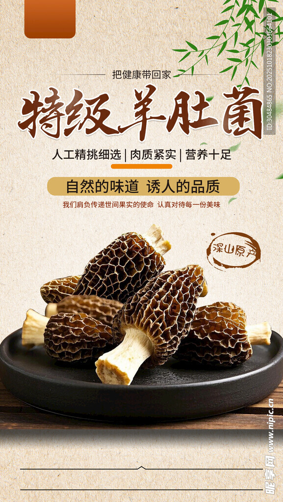 野生菌海报