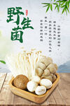 云南野生菌
