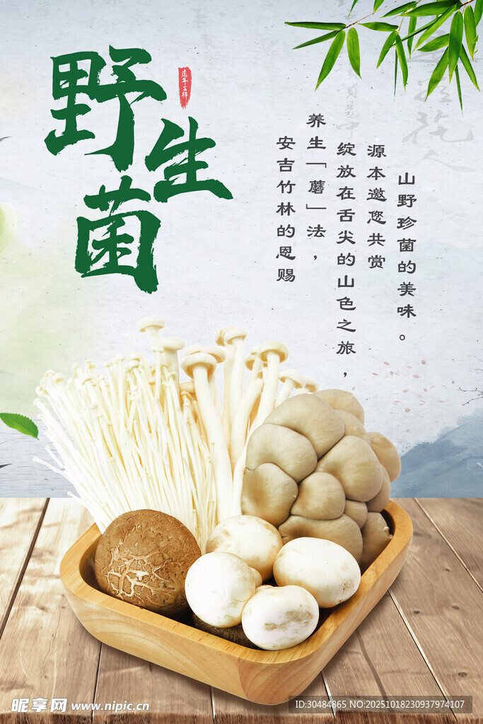 云南野生菌