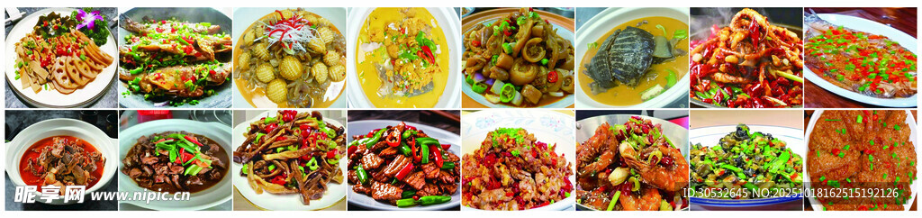 美食集合