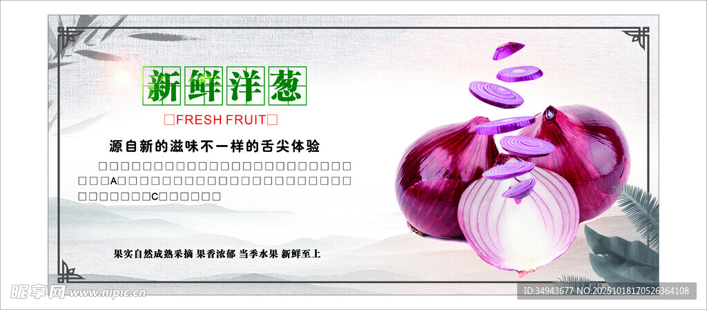 新鲜紫皮洋葱 营养美味
