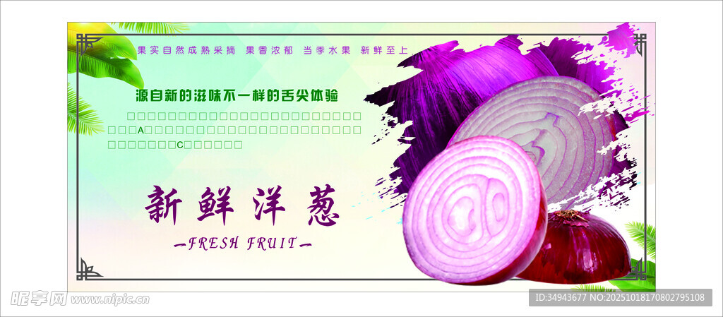 新鲜洋葱包装展示