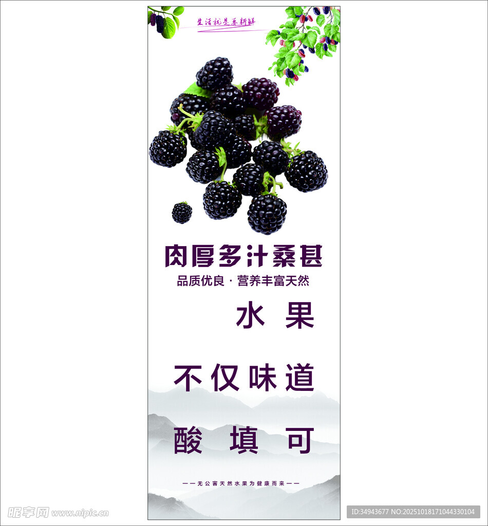 酸甜桑葚果 开启美味新体验