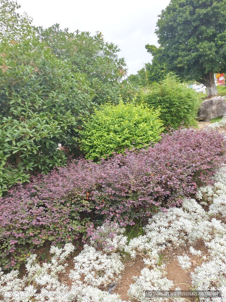 多彩花卉绿植景观