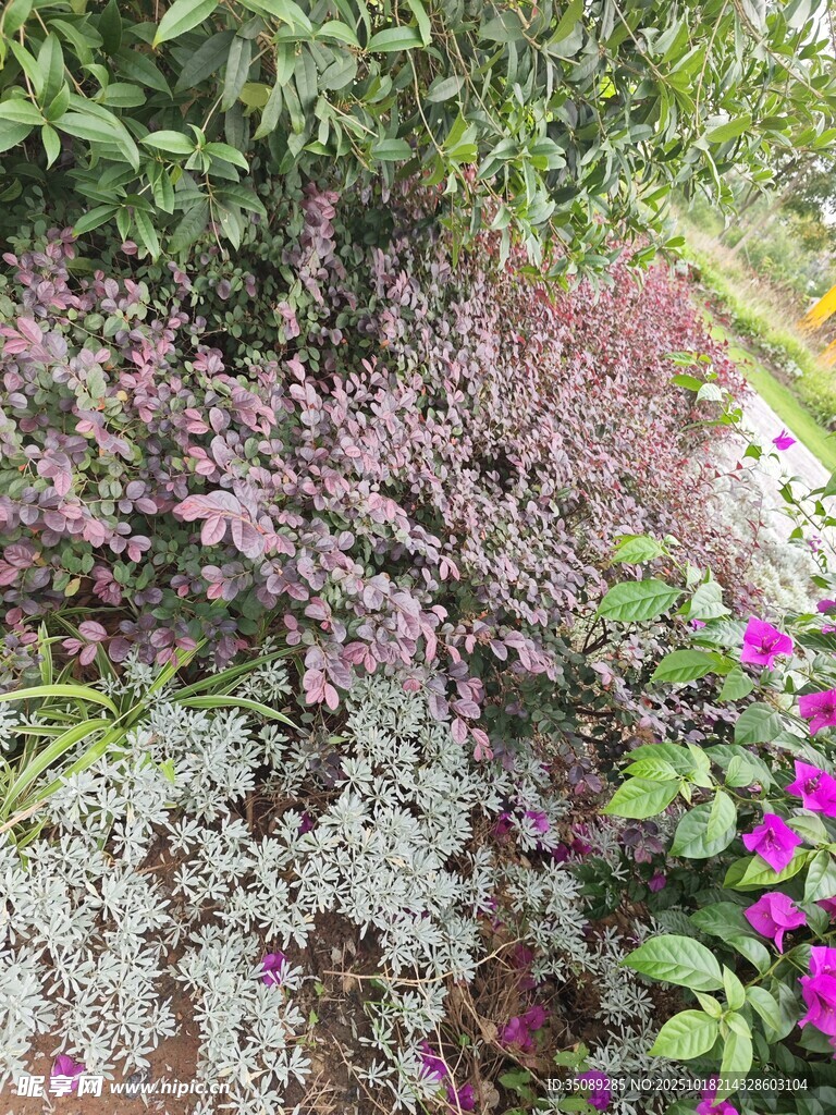 多彩花卉绿植景观