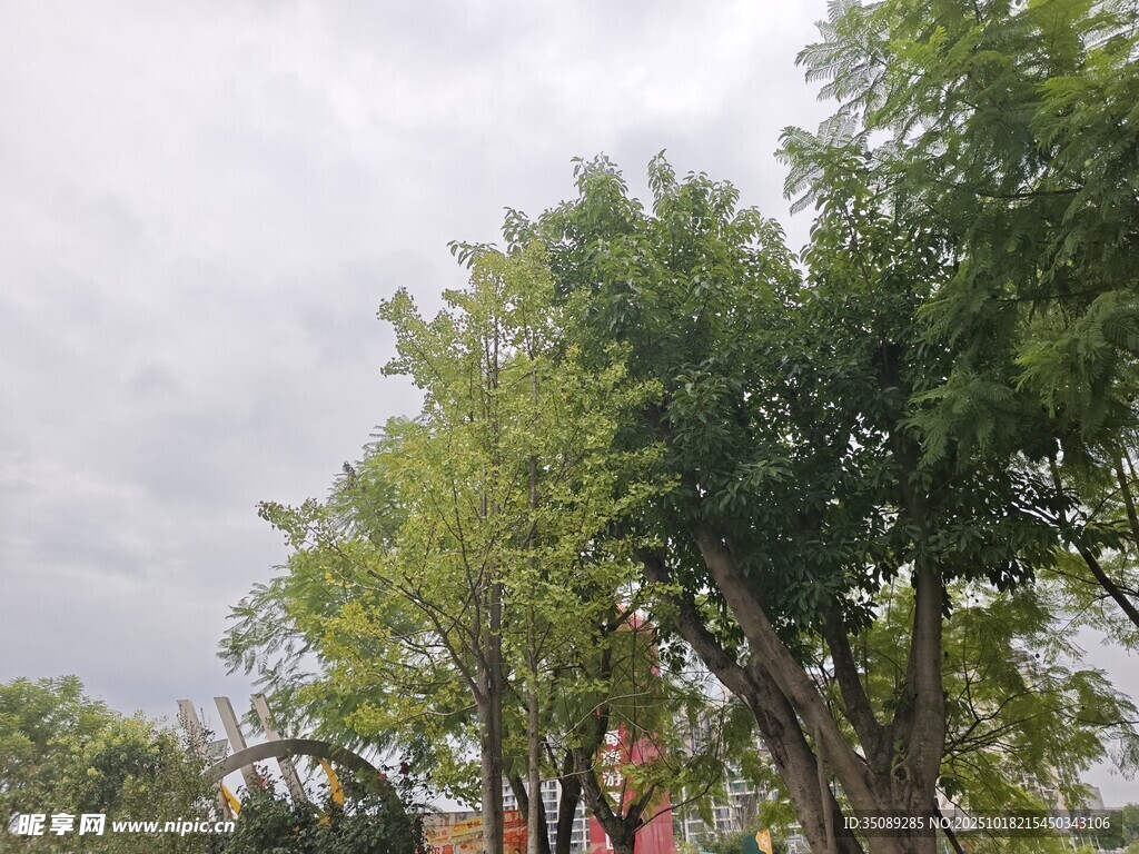 户外绿树旁的游乐设施