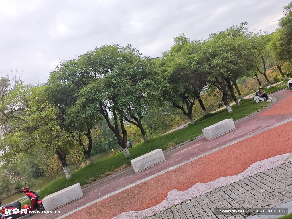 城市公园中的绿树与步道