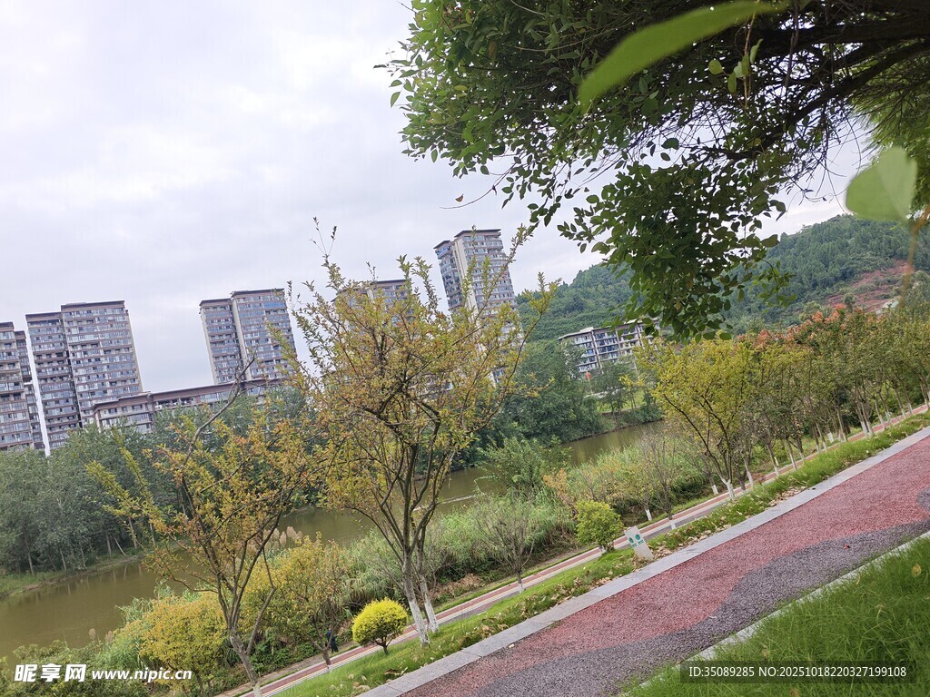 城市中的宁静绿化小径
