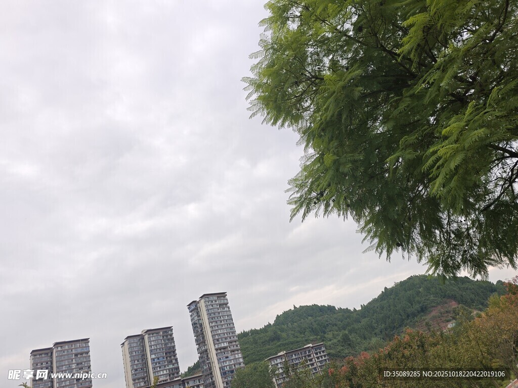 城市与绿树相映的景致