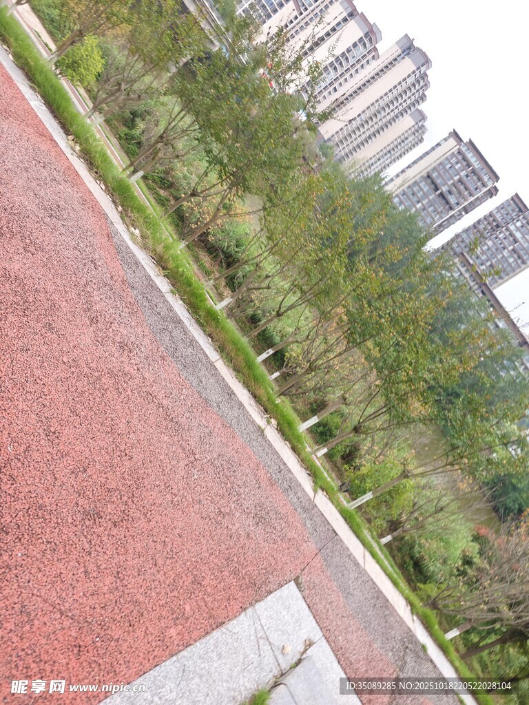 城市中的绿植环绕红色步道