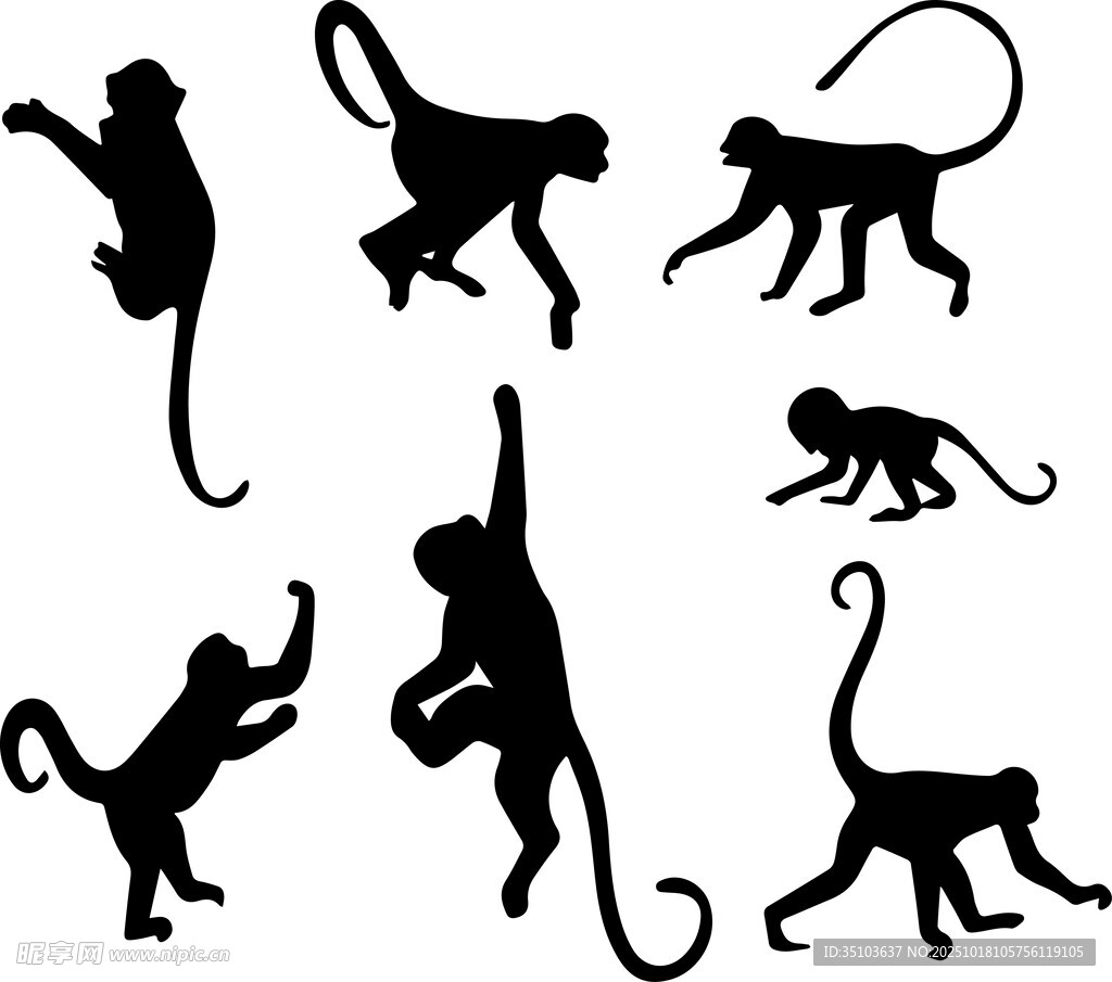 多样姿态的猴子剪影