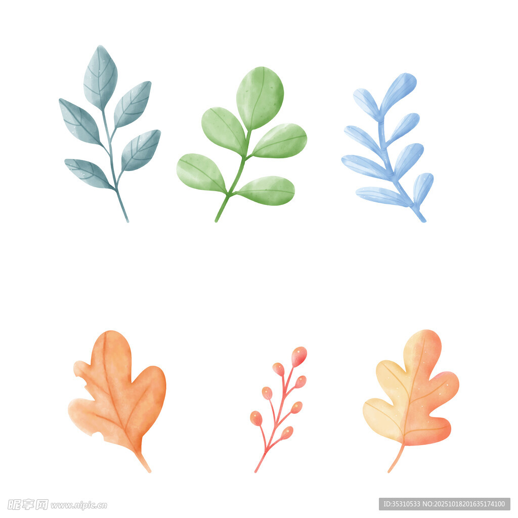 水彩植物叶片