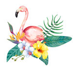 火烈鸟与花卉绿植插画