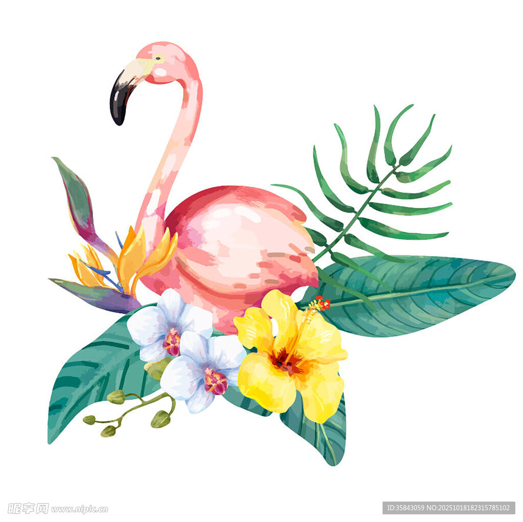 火烈鸟与花卉绿植插画
