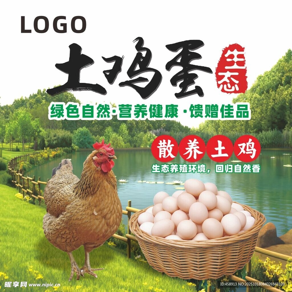 青山绿水散养土鸡蛋 