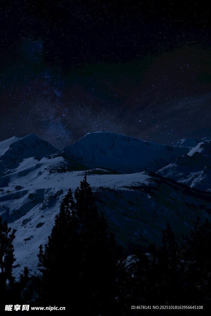 夜幕下的雪山与森林景观