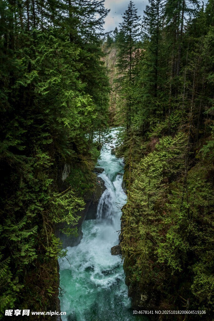 山间翠绿溪流潺潺美景